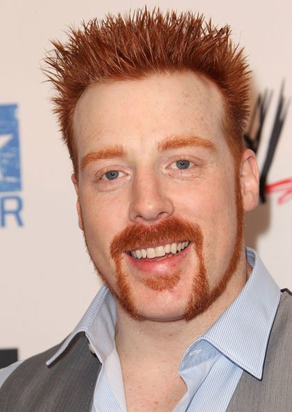 Sheamus Biography , Biodata and Wiki and Profile Details, Sheamus Height and Weight and Body Measurements, Sheamus Biceps Sizes, Sheamus  Date Of Birth, Age, Family, Wife, Affairs, Sheamus diet Education 